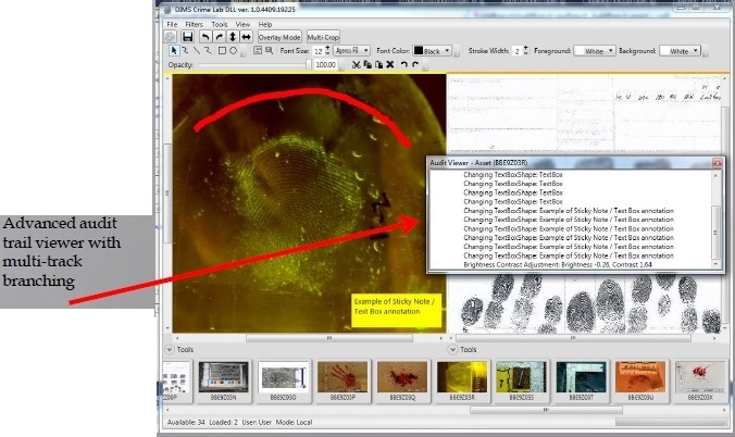 Forensic Analysis 5